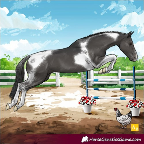 Horse Color:Black Tobiano