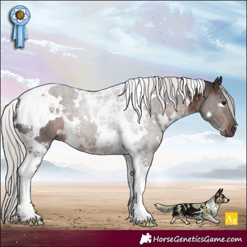 Horse Color:White Spotted Silver Brown Tobiano 