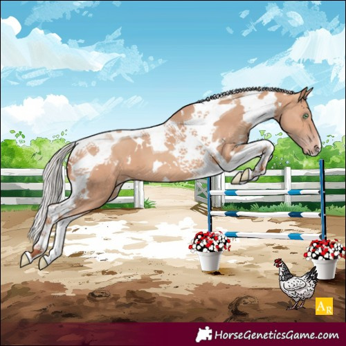 Horse Color:White Spotted Silver Sable Champagne Tobiano 