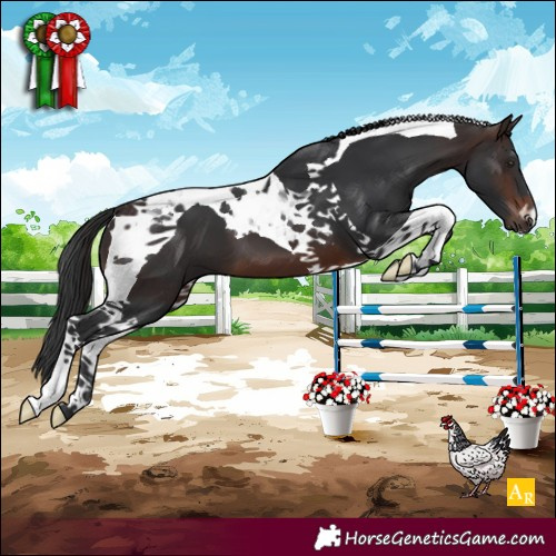 Horse Color:Brown Tobiano