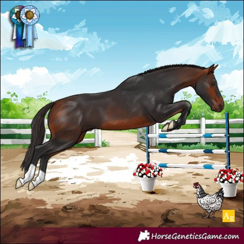 Horse Color:Bay 