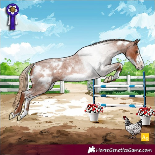 Horse Color:White Spotted Red Roan Frame 