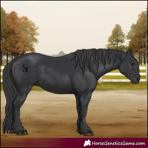 Horse Color:Platinum Black 