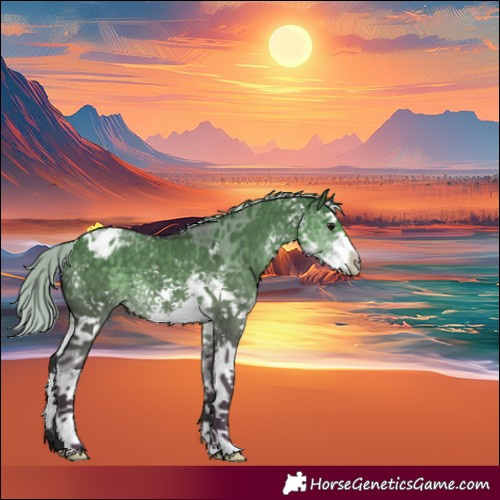 Horse Color:White Spotted Silver Smoky Grullo Sabino Splash Appaloosa 