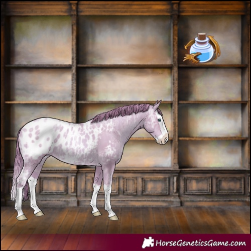 Horse Color:Watercolor Smoky Black Ice Pearl Splash Blanket 