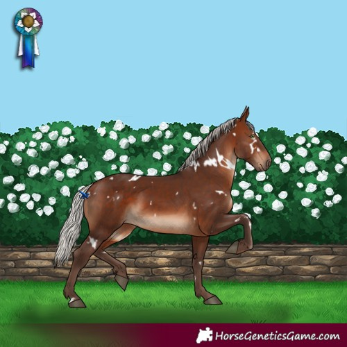 Horse Color:White Spotted Silver Brown Rabicano 