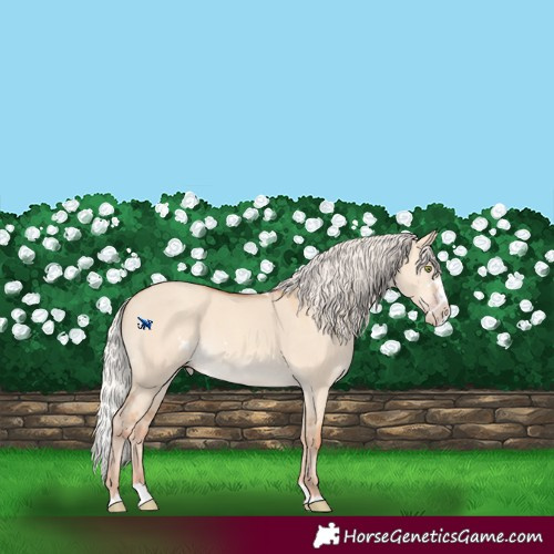 Horse Color:White Spotted Silver Amber Champagne Dun Splash