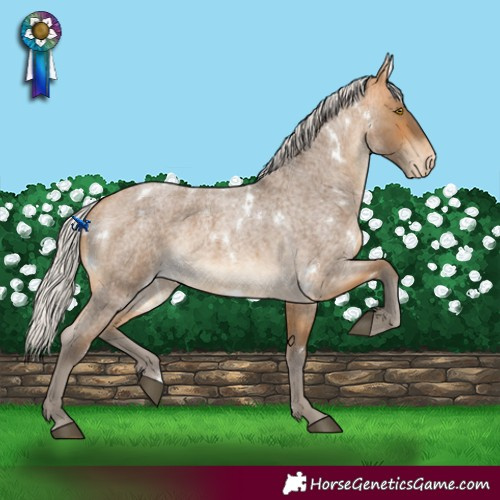 Horse Color:White Spotted Silver Buckskin Roan Varnish Rabicano 