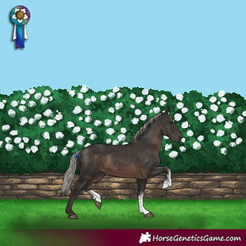 Horse Color:Gray Silver Black Sabino 