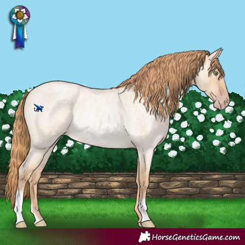 Horse Color:Gold Champagne Roan Dun Rabicano 