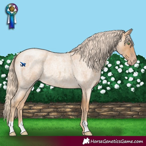 Horse Color:Gold Cream Champagne Roan