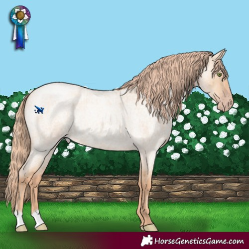 Horse Color:Gold Champagne Roan Dun 