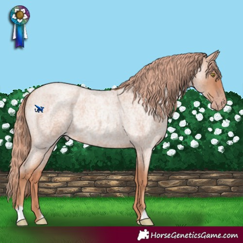 Horse Color:Gold Champagne Roan 