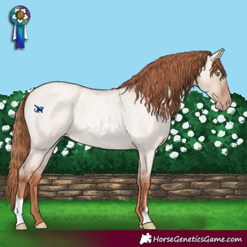Horse Color:Gold Champagne Roan Dun