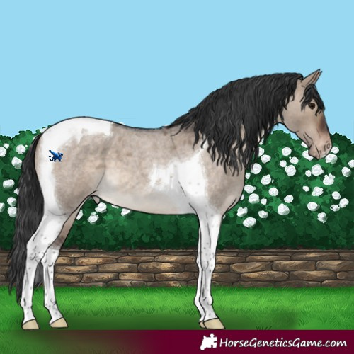 Horse Color:Brown Roan Dun Tobiano Varnish 