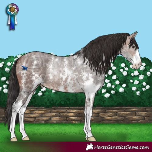 Horse Color:Brown Ice Sabino 