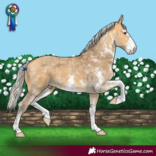 Horse Color:Silver Buckskin Ice Sabino 