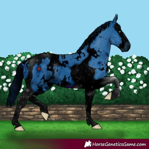 Horse Color:ERROR: UNKNOWN ANOMALY