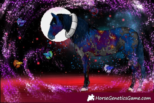 Horse Color:ERROR: UNKNOWN ANOMALY