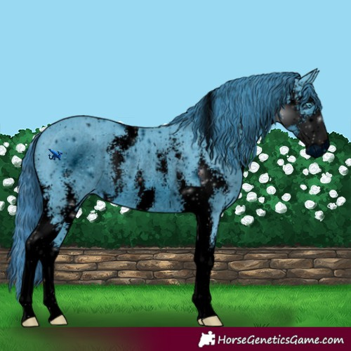 Horse Color:ERROR: UNKNOWN ANOMALY