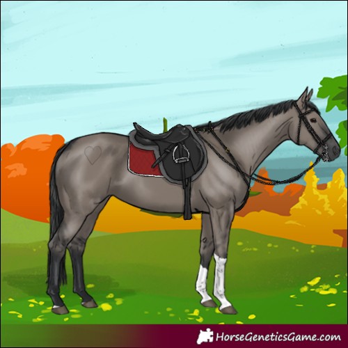 Horse Color:Grullo Tobiano 