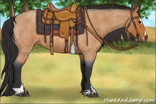 Horse Color:Bay Roan Sabino