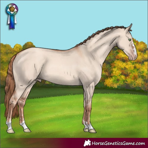 Horse Color:Gold Champagne Dun