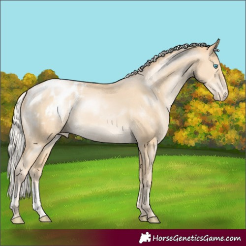 Horse Color:Silver Smoky Black Pearl Sabino Blanket Rabicano