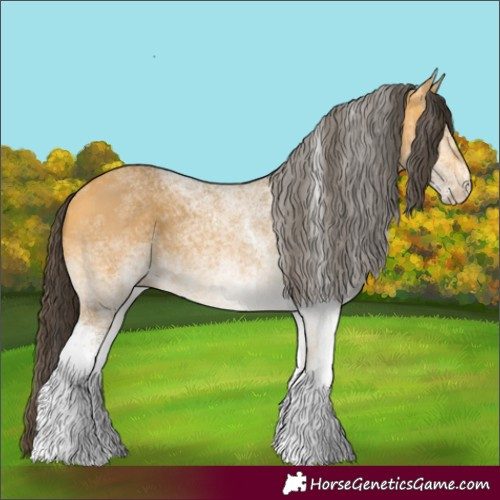 Horse Color:White Spotted Buckskin 