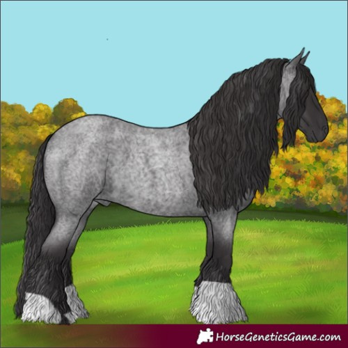 Horse Color:Smoky Blue Roan 