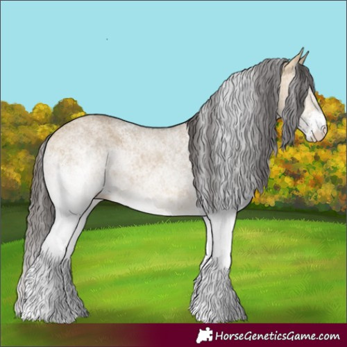 Horse Color:White Spotted Buckskin Dun 