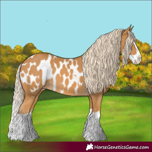 Horse Color:Palomino Splash Near Leopard