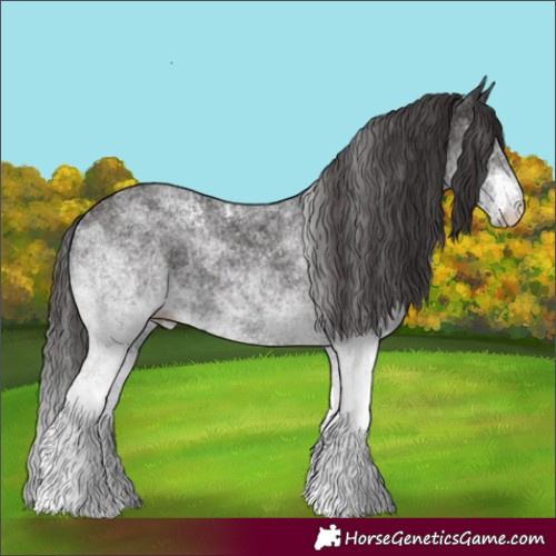 Horse Color:White Spotted Smoky Black 