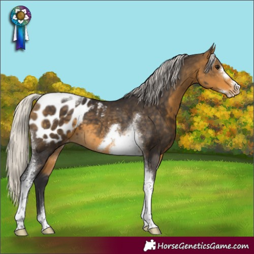 Horse Color:Silver Buckskin Tobiano Frame Blanket 