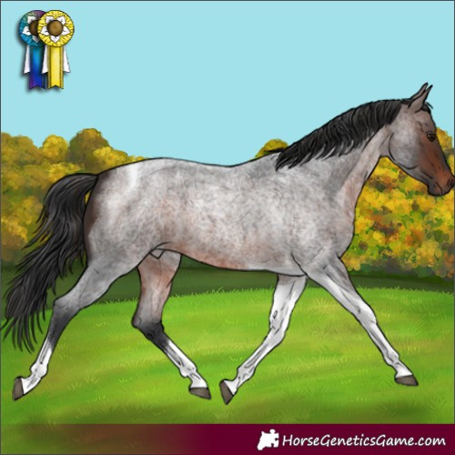 Horse Color:Brown Roan Tobiano 