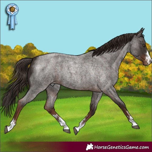Horse Color:Liver Red Roan Varnish 