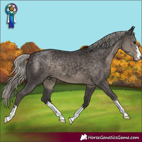 Horse Color:Silver Smoky Black 