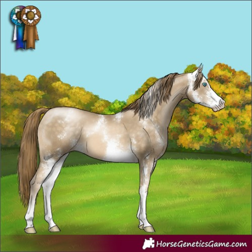 Horse Color:Buckskin Pearl Sabino 