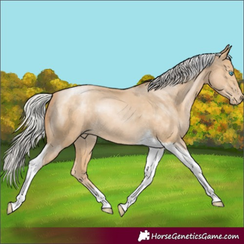 Horse Color:Silver Buckskin Pearl Tobiano 