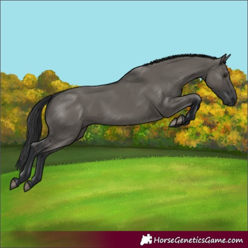 Horse Color:Grullo 