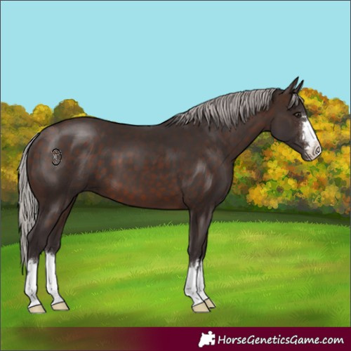 Horse Color:Silver Brown