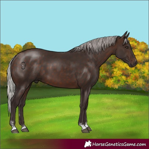 Horse Color:Silver Brown