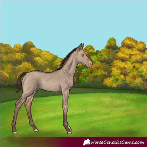 Horse Color:Sable Champagne Dun Sabino Varnish 