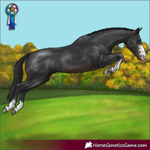 Horse Color:Brown 