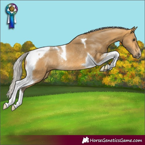 Horse Color:Silver Buckskin Tobiano Rabicano