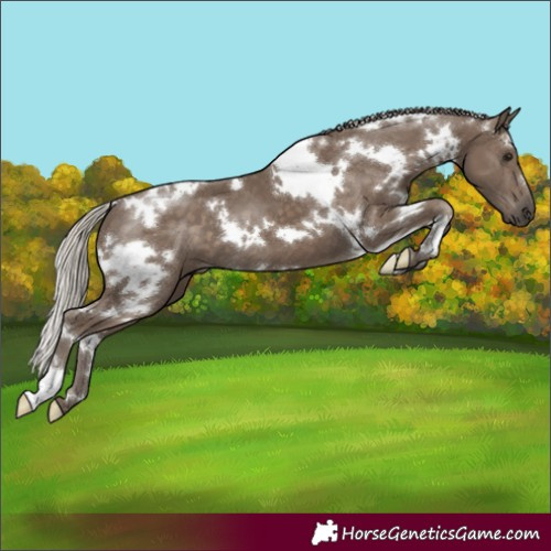 Horse Color:White Spotted Silver Smoky Black 