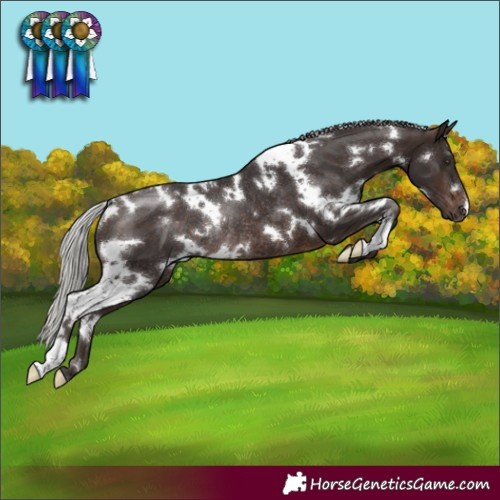 Horse Color:White Spotted Silver Brown Rabicano 