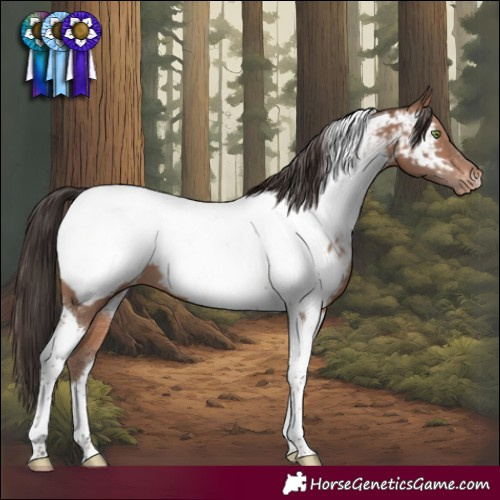 Horse Color:Sable Champagne Tobiano Near Fewspot 