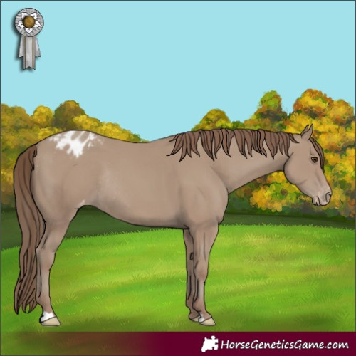 Horse Color:Classic Champagne Varnish Rabicano 
