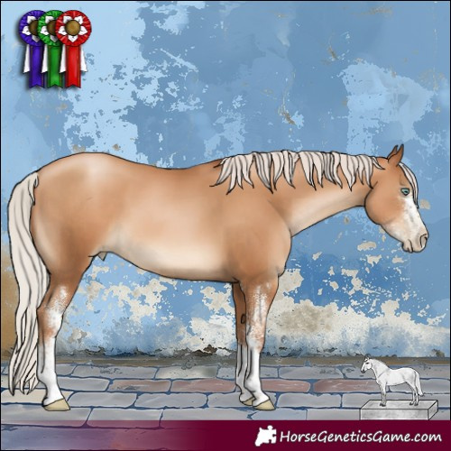 Horse Color:Gray Silver Sable Champagne Pearl Sabino 